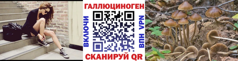 Галлюциногенные грибы Cubensis  OMG рабочий сайт  Малгобек  где можно купить  